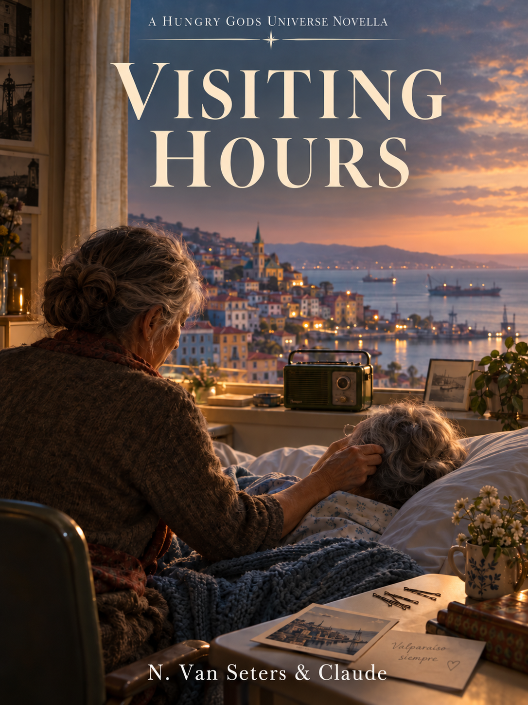 Cover of Visiting Hours